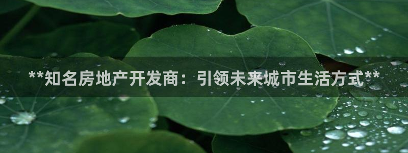 万向娱乐灯333OO