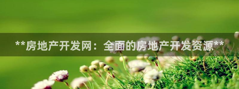万向娱乐挂机软件