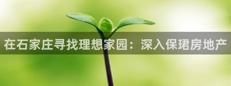 万向娱乐平台代理怎么做赚钱
