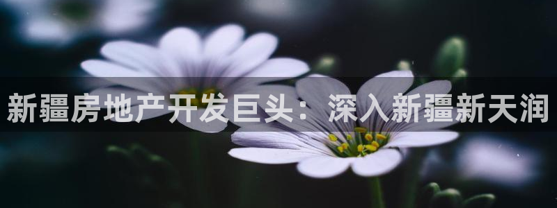 万向娱乐公司官网