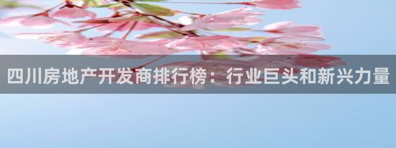 万向娱乐平台代理怎么做的