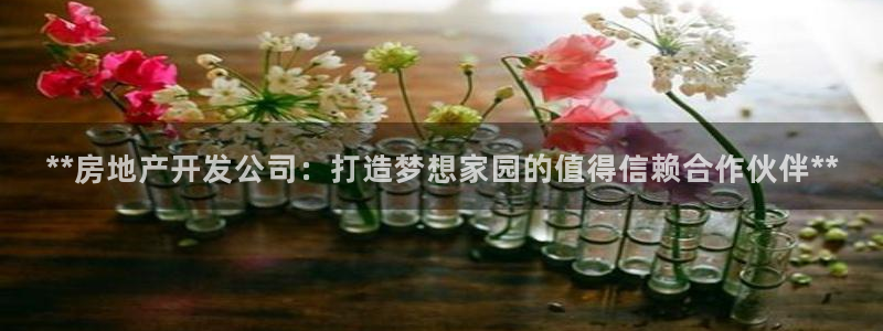 万向娱乐挂机软件