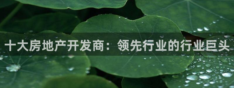万向娱乐平台代理多少钱一个