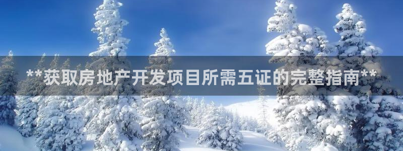 万向娱乐app