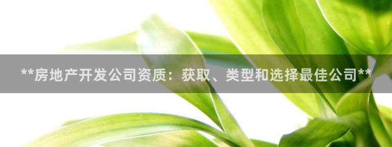 万向娱乐平台代理怎么做