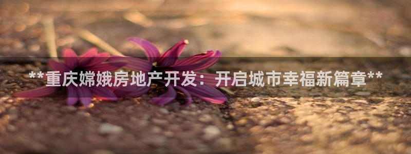 万向娱乐app下载官网