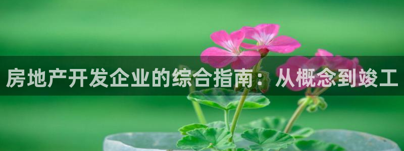 万向娱乐官网下载安卓