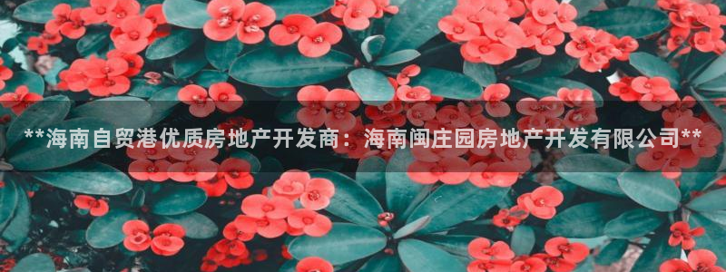 万向娱乐官网