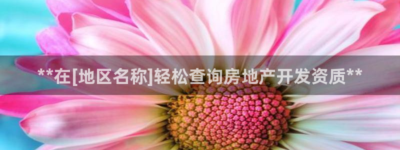 万向娱乐网址是什么