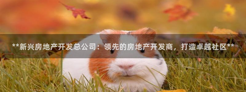 万向娱乐平台代理怎么做的