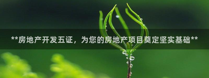 万向娱乐平台下载安装手机版