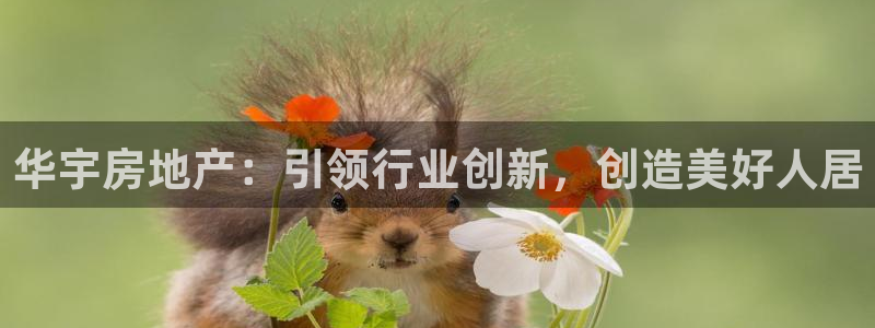 万向娱乐登陆