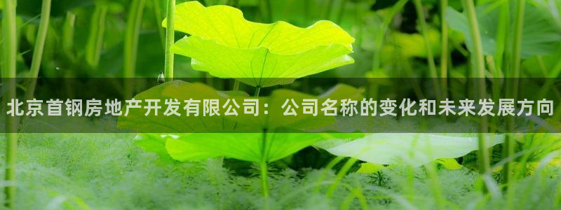 万向娱乐平台代理怎么做