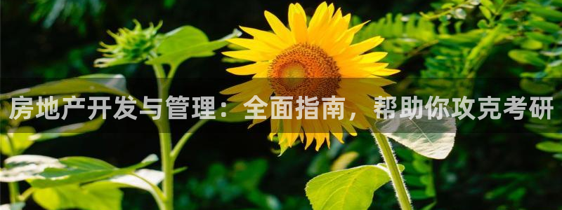 万向娱乐公司官网首页