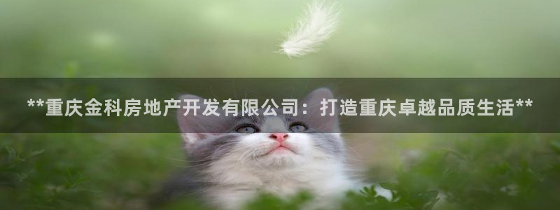 万向娱乐灯333OO