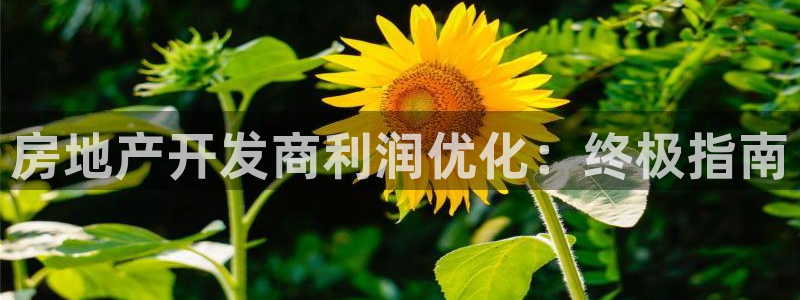 万向娱乐平台代理怎么样可靠吗