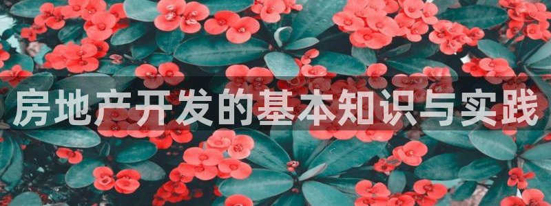 万能娱乐平台直招代理