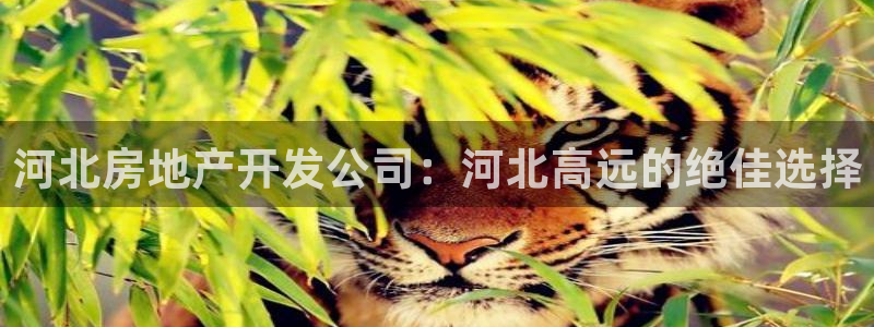 万向娱乐代理好看视频是真的吗