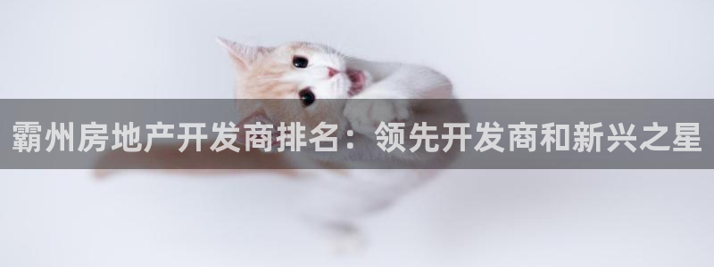 万向娱乐平台代理怎么做的