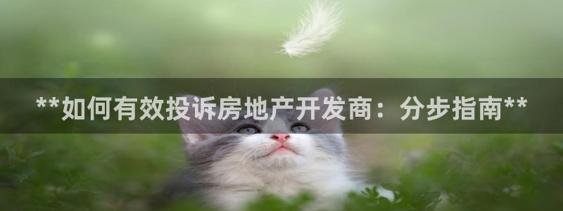 万向娱乐代理好看视频是真的吗