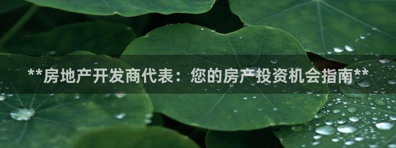 万象游戏代理