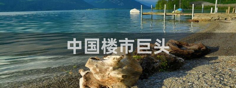 万向娱乐技术