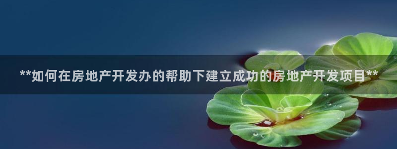 万向娱乐平台代理怎么样可靠吗