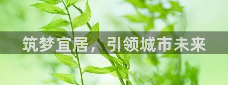 万向娱乐官网下载安卓
