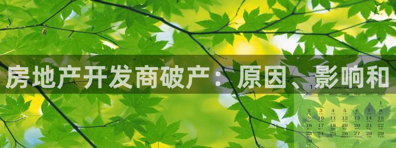 万向娱乐挂机软件