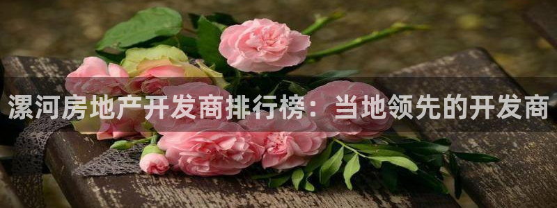 万向娱乐技术