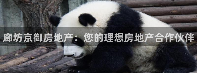 万向娱乐平台代理怎么做的