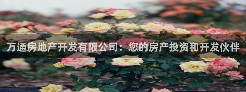 万能娱乐代理网址