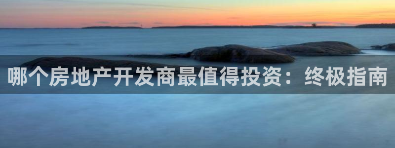 万向娱乐是野鸡台吗