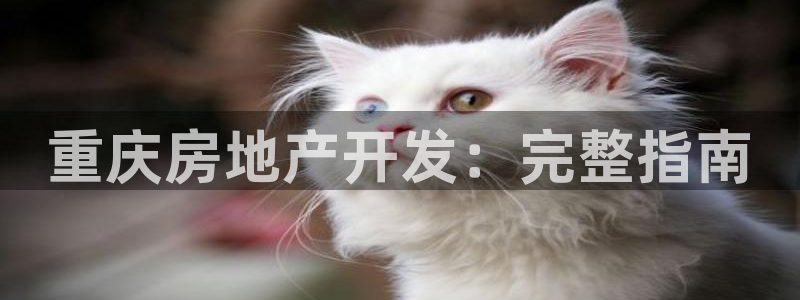 万向娱乐灯333OO