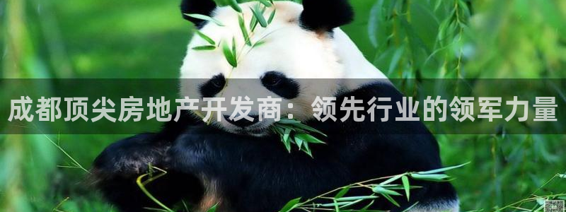 万向娱乐的联系方式有哪些