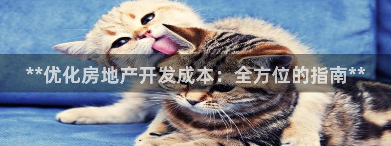 万向娱乐官网下载安卓