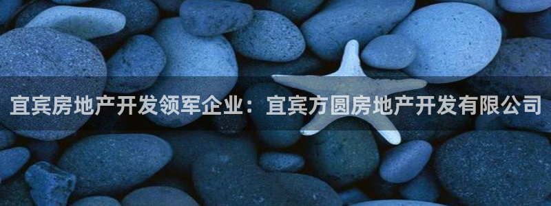 万向娱乐老板