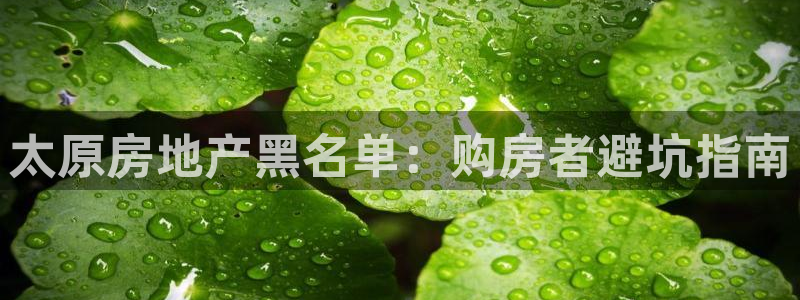 万向娱乐官网网址是多少