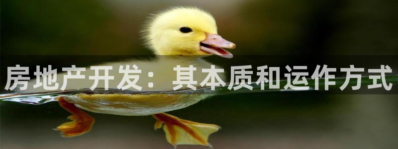 万向娱乐灯333OO