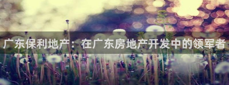 万向娱乐公司官网首页