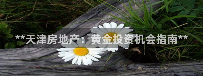 万向娱乐官网下载安装最新版
