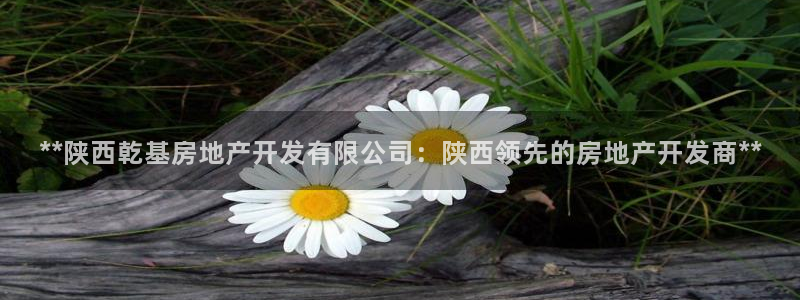 万向娱乐官网网址大全