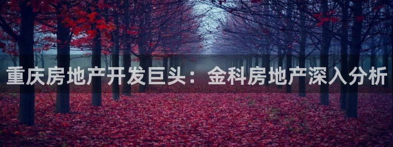 万向娱乐的494o3 主管