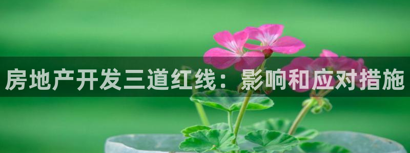 万向娱乐怎么样