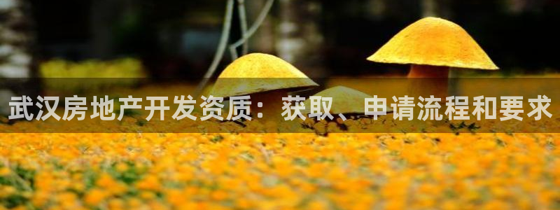 万向娱乐平台提现多久到账