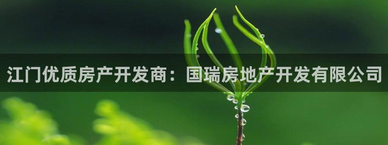 万向娱乐平台代理多少钱一个月