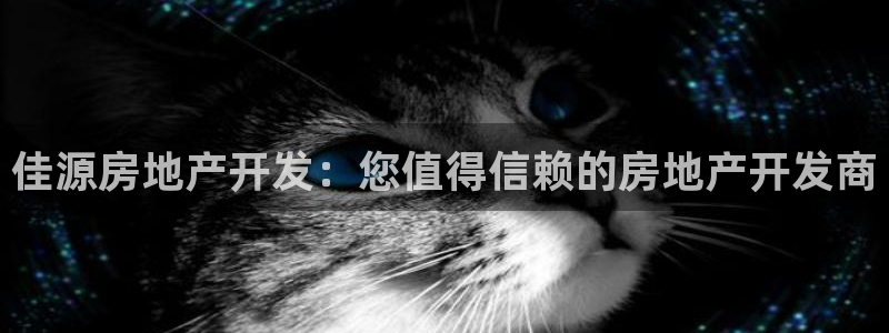 万向娱乐平台代理怎么样啊