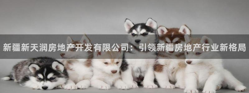 万向娱乐老板