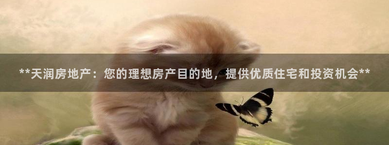 万向娱乐平台代理多少钱一个