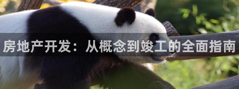 万向娱乐官网下载安装最新版